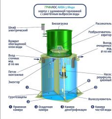 ГРИНЛОС Аква 5 Миди