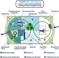 Гринлос Аэро с КНС 4 Пр Миди