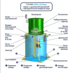 ГРИНЛОС Аква 5 Пр Миди