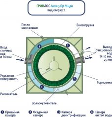 ГРИНЛОС Аква 5 Миди