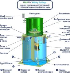 ГРИНЛОС Аква 5 Пр Миди