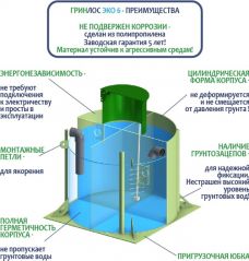 ГРИНЛОС Эко 6