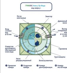 ГРИНЛОС Аква 5 Пр Миди