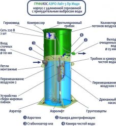 Гринлос Аэро Лайт 5 Пр Миди