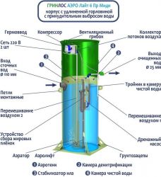 Гринлос Аэро Лайт 6 Пр Миди