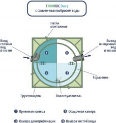 ГРИНЛОС Эко 5